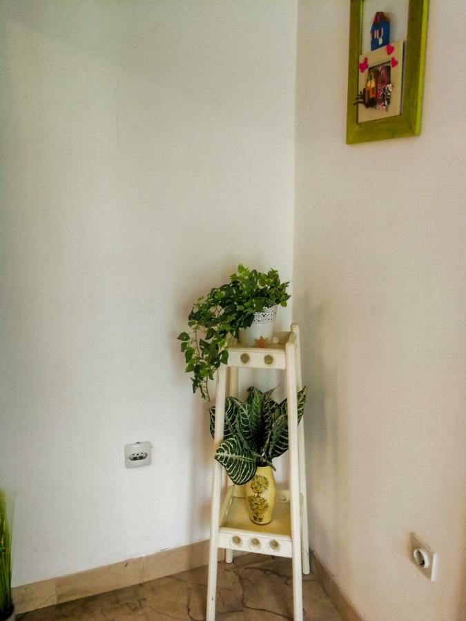 Apartman Damir Sumartin Esterno foto